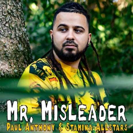 Mr. Misleader ft. Stamina All Stars | Boomplay Music