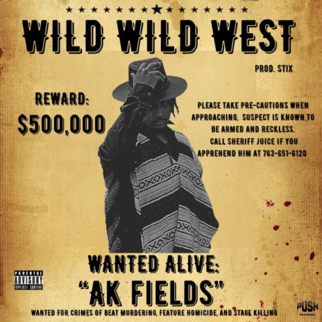 Wild Wild West | Boomplay Music