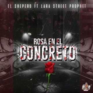 Rosa En El Concreto