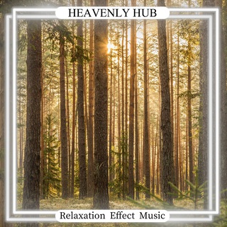 Relaxation Effect Music