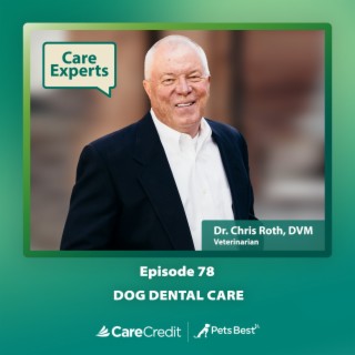 Dog Dental Care - Dr. Chris Roth