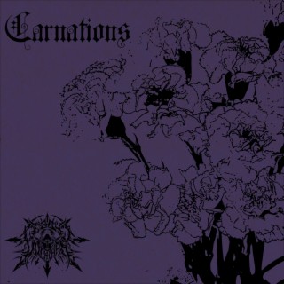 Carnations (For Her)
