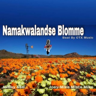 Namakwalandse Blomme