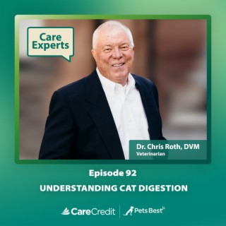 Understanding Cat Digestion - Dr. Chris Roth