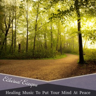 Healing Music To Put Your Mind At Peace