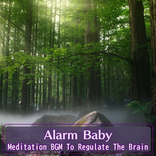 Meditation BGM To Regulate The Brain