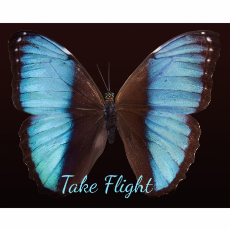 Take Flight ft. AiryConnection | Boomplay Music