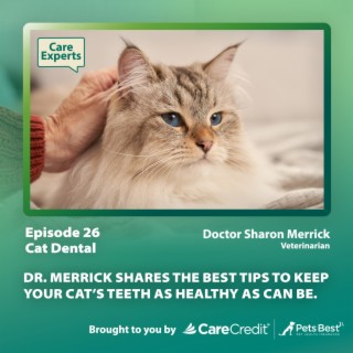 Cat Dental - Dr. Sharon Merrick