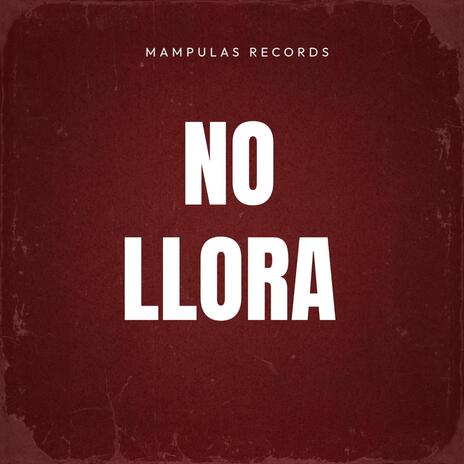 NO LLORA | Boomplay Music