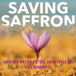 Saving Saffron (Original Motion Picture Soundtrack)