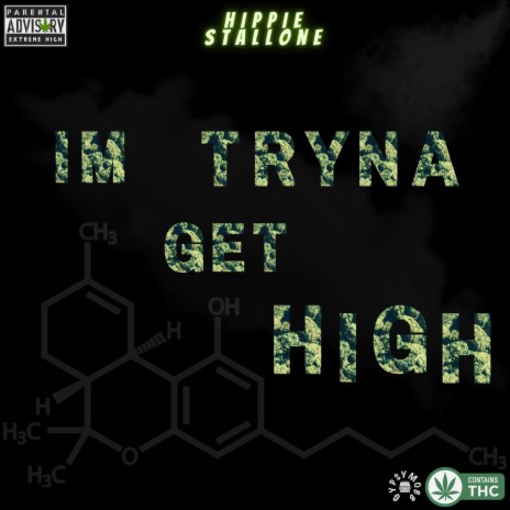 I'm Tryna Get High | Boomplay Music