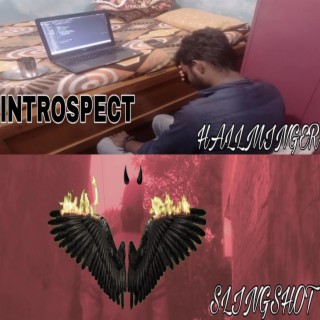 Introspect