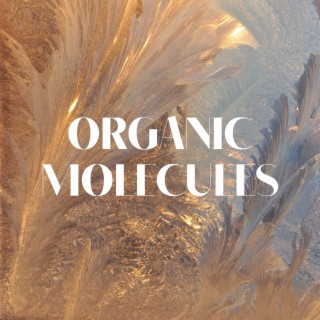 Organic Molecules