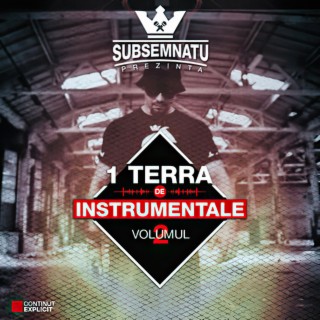 1Terra de instrumentale vol.2