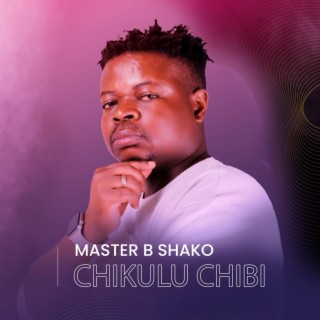 Master B Shako