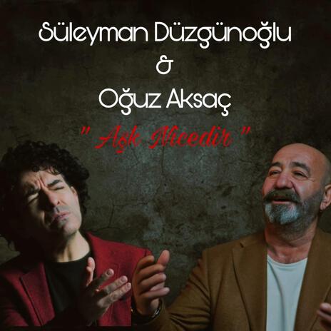 Aşk Nicedir ft. Süleyman Düzgünoglu | Boomplay Music