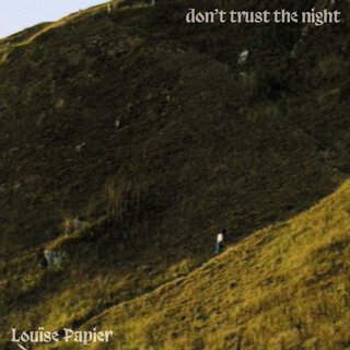 Don't Trust The Night