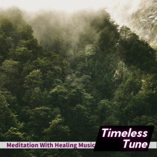 Meditation With Healing Music