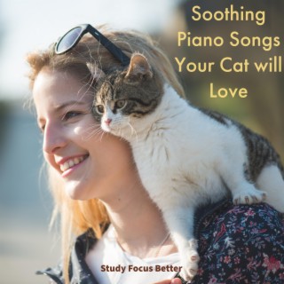 Soothing Piano Songs Your Cat will Love