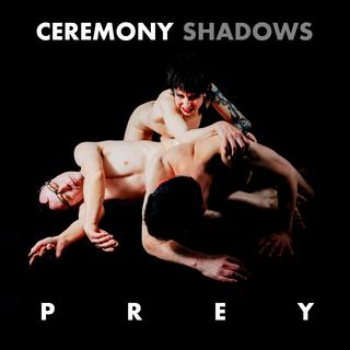 Prey lyrics | Boomplay Music