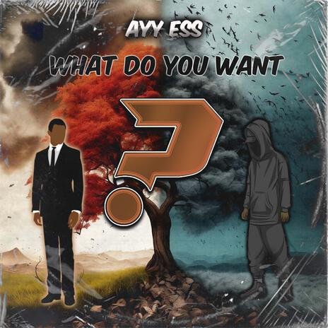 What Do You Want? | Boomplay Music