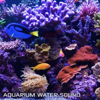 Aquarium Water Sound (feat. Aquarium Soundscapes, White Noise Sleep Sounds & Discovery White Noise)