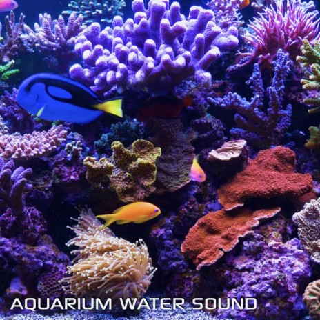 Aquarium White Noise (feat. Aquarium Soundscapes, White Noise Sleep Sounds & Discovery White Noise)