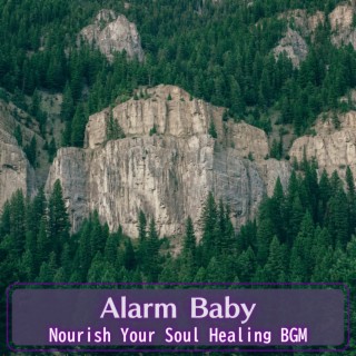 Nourish Your Soul Healing BGM