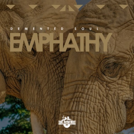 Emphathy (Imp5 Mix) | Boomplay Music