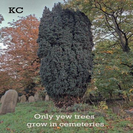 Only Yew Trees Grow in Cemeteries (Single Mix) | Boomplay Music