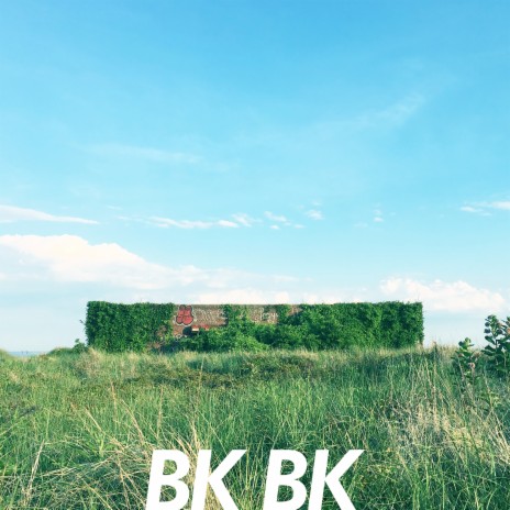 Bk Bk (feat. That Kid Cg & Julie Elody) | Boomplay Music