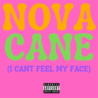 Novacane (I Can't Feel My Face)