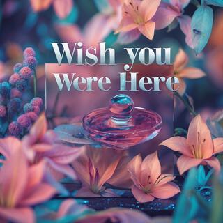 Wish You Were Here