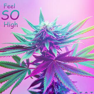 Feel So High