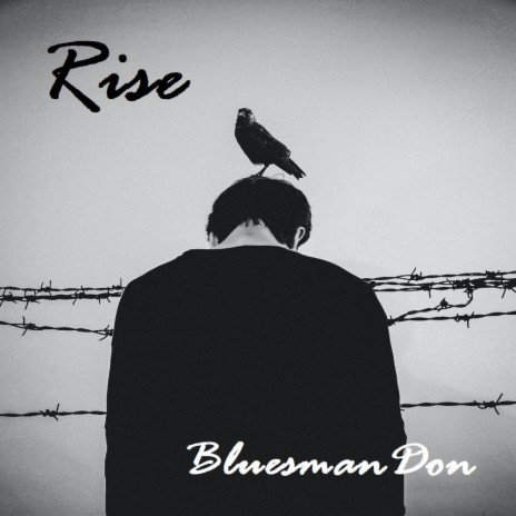 Rise | Boomplay Music