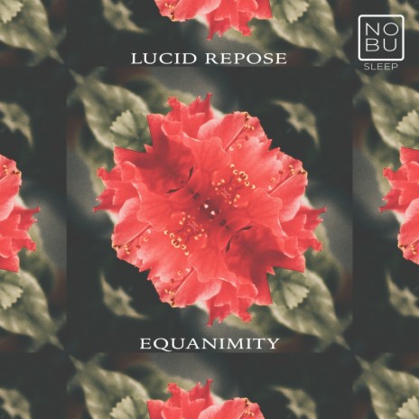 Equanimity | Boomplay Music