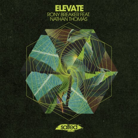 Elevate ft. Nathan Thomas | Boomplay Music