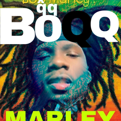 B0qq marley ft. BRH Jaycope | Boomplay Music