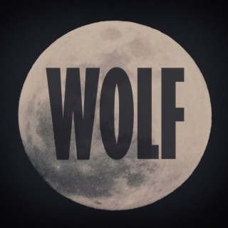 Wolf lyrics | Boomplay Music