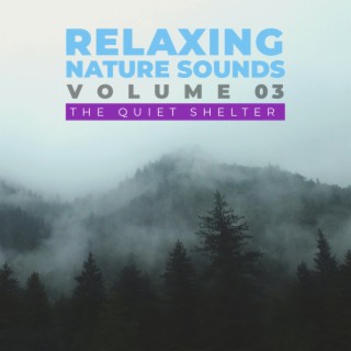 Relaxing Nature Sounds Vol. 03