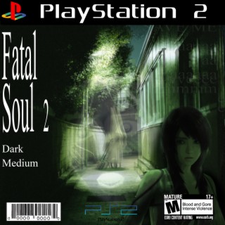 Fatal Soul 2