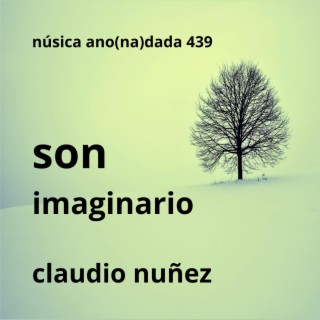 son imaginario