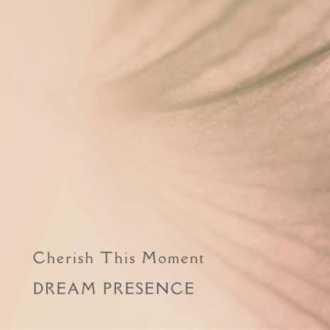 Cherish This Moment | Boomplay Music