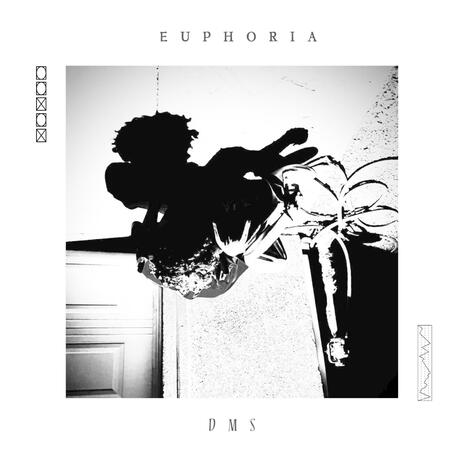 Euphoria | Boomplay Music