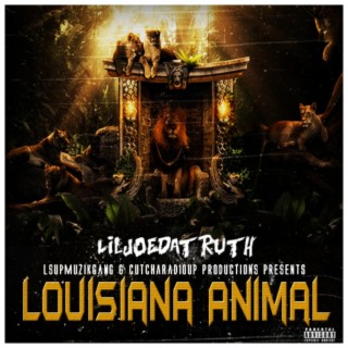 Louisiana Animal