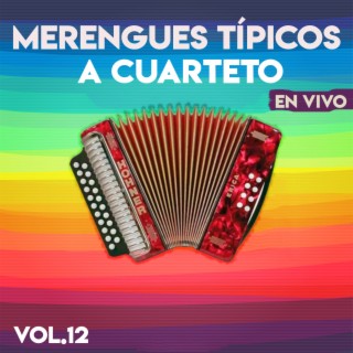 Merengues Tipicos A Cuarteto, Vol.12 (En Vivo)