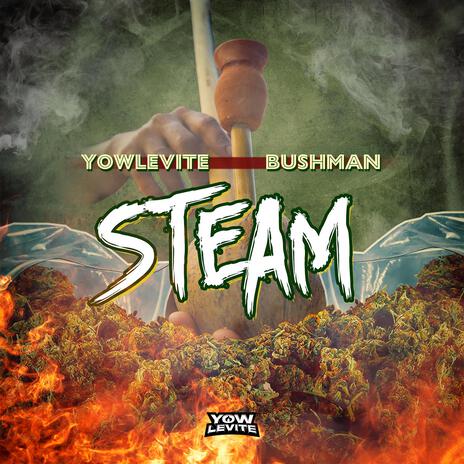 Steam ft. Bushman | Boomplay Music