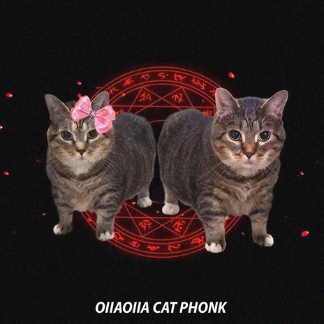 OIIAOIIA CAT PHONK ft. Ashris, Daciva, Tidiet & Meme Phonk | Boomplay Music