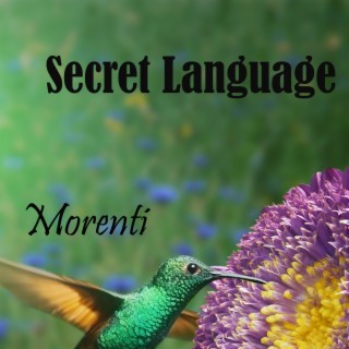 Secret Language