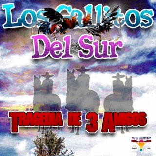 Los Gallitos Del Sur